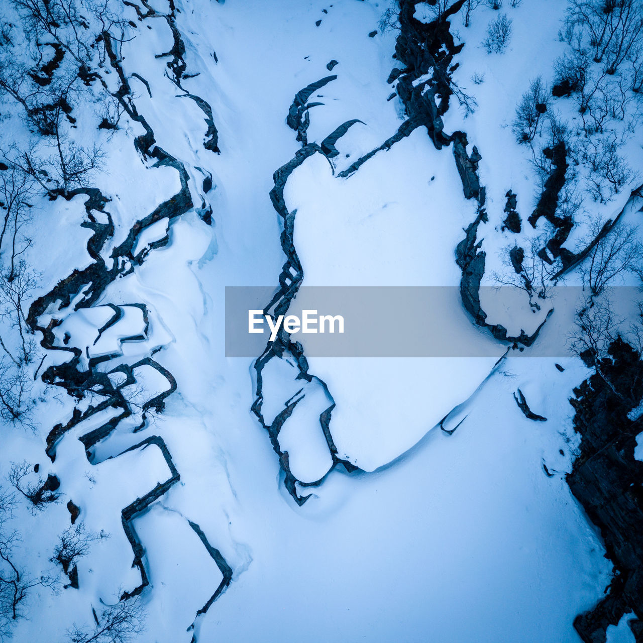 High angle view of snow covered trees on land