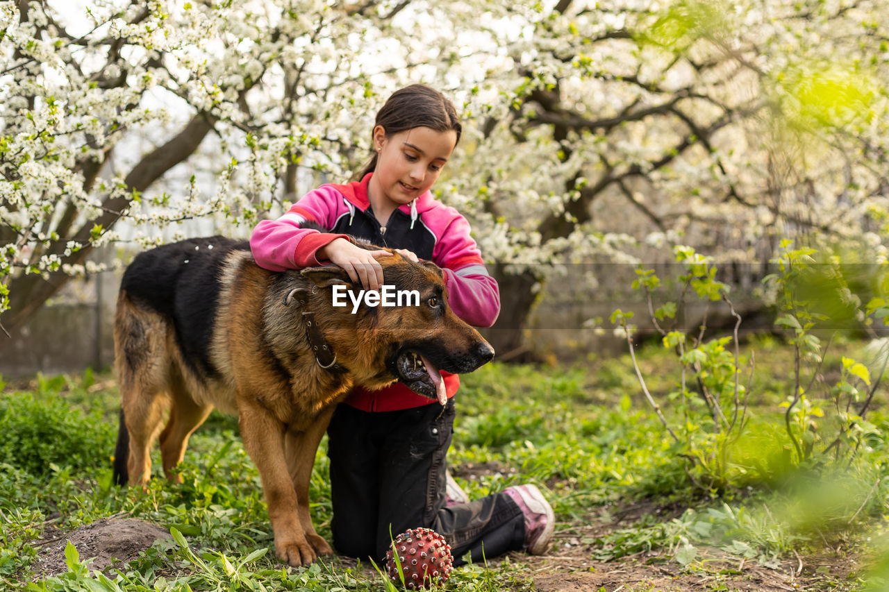 Portrait of dog running on field