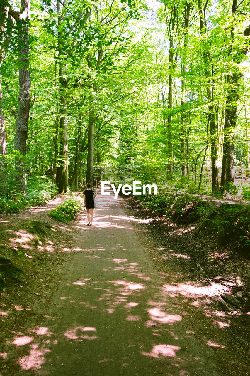 REAR VIEW OF WOMAN WALKING ON FOOTPATH AMIDST TREES IN FOREST