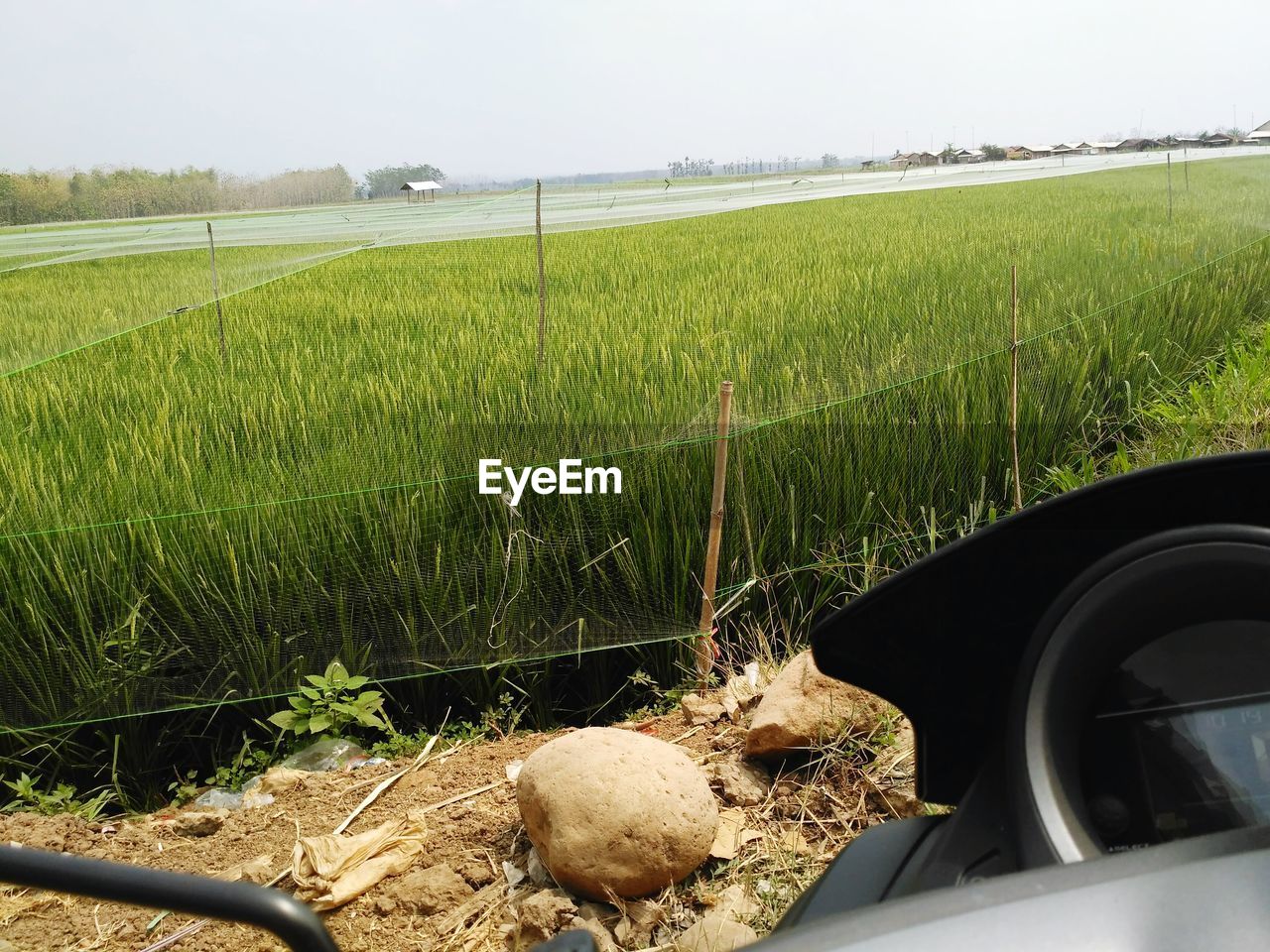 SCENIC VIEW OF AGRICULTURAL FIELD SEEN THROUGH CAR