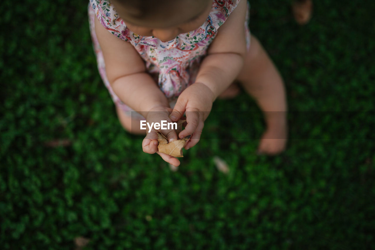 High angle view of cute baby girl holding leaf while sitting on grassy field