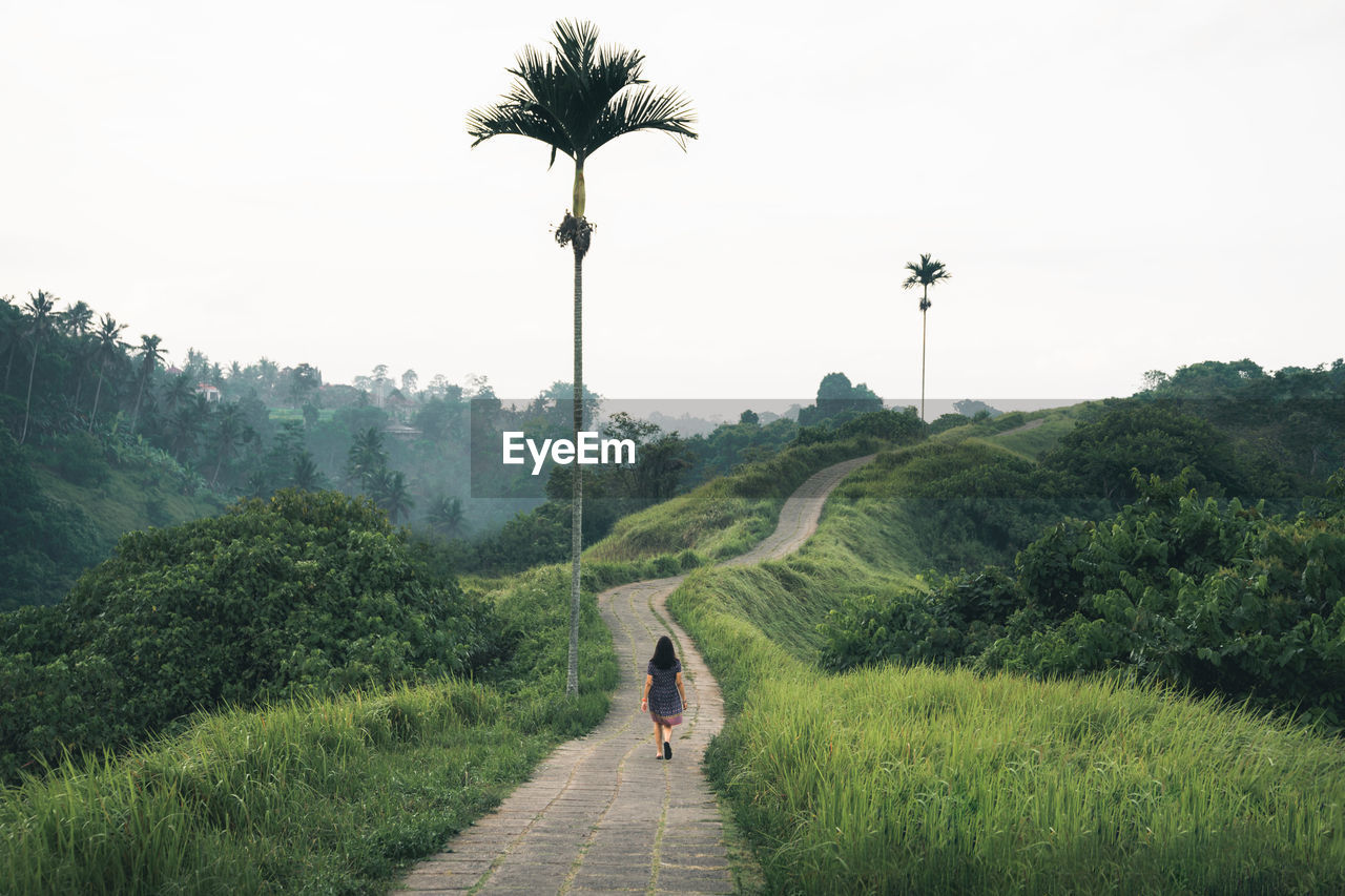 Rear view of woman walking amidst field against sky