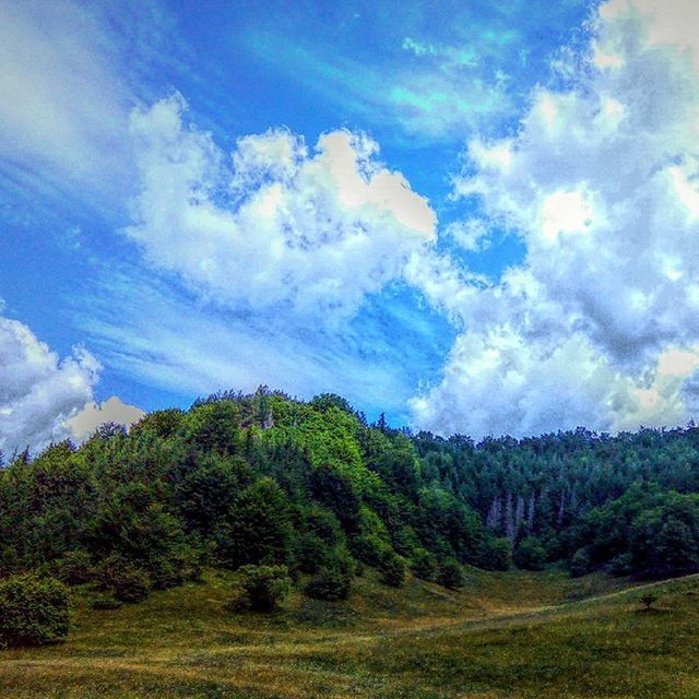 SCENIC VIEW OF LANDSCAPE AGAINST CLOUDY SKY