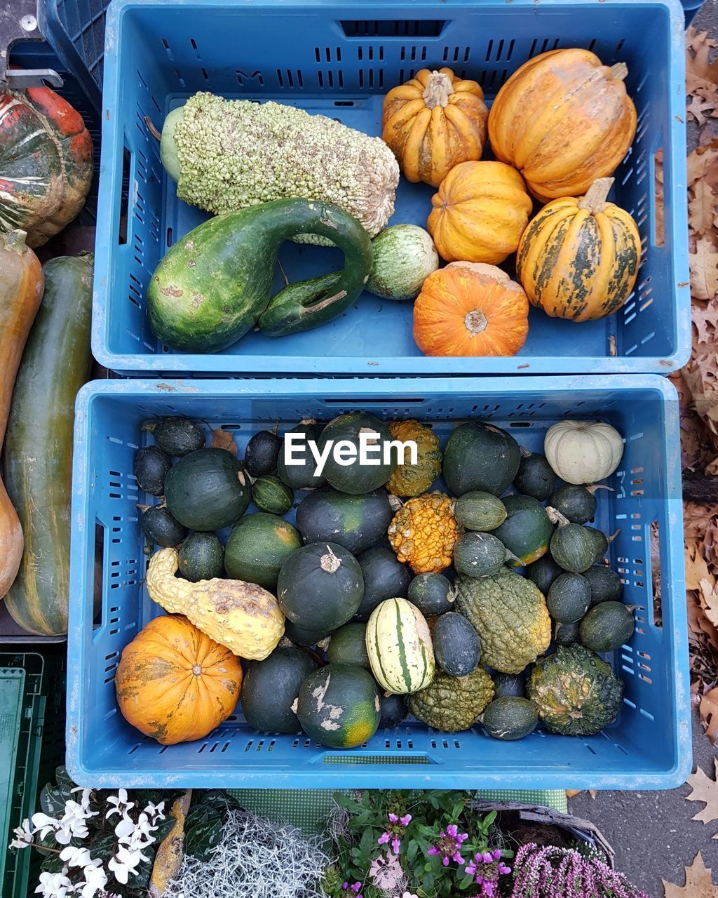 High angle view of pumpkins for sale at market stall