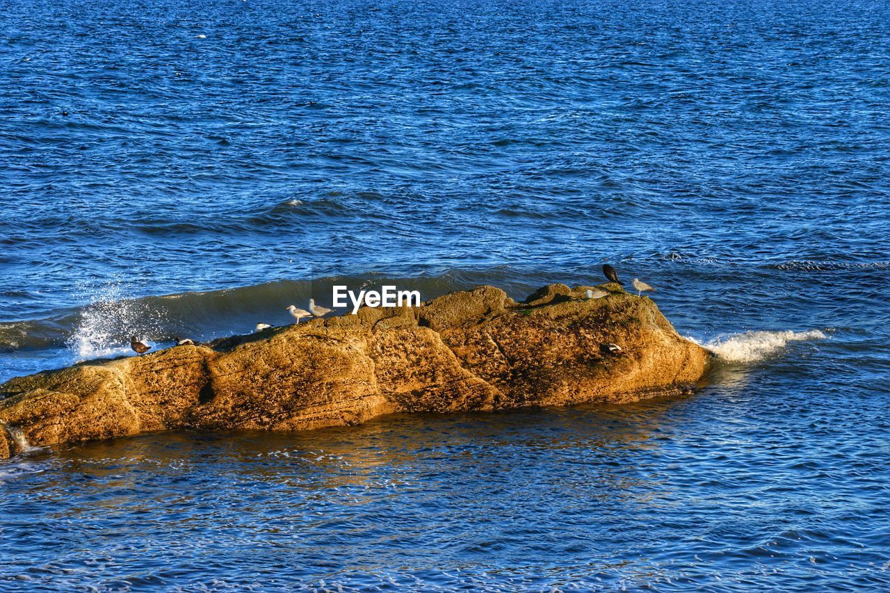 VIEW OF ROCK ON SEA SHORE