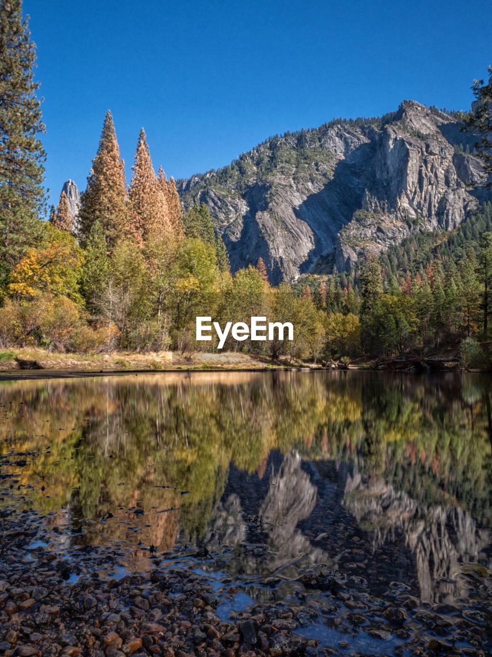 Reflection of trees and rocky mountains on calm lake at yosemite national park