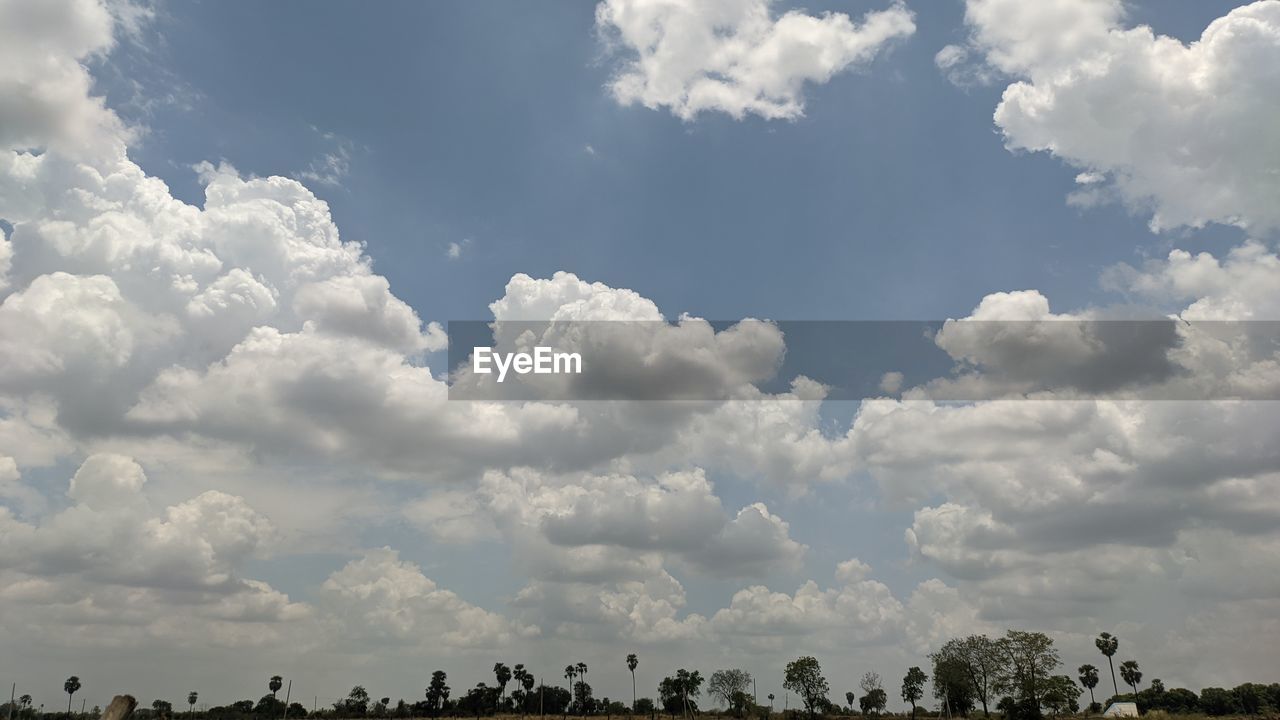 sky, cloud, horizon, environment, nature, landscape, plant, tree, beauty in nature, field, cloudscape, outdoors, scenics - nature, sunlight, plain, no people, animal, animal themes, land, day, daytime, travel, grassland, rural area, animal wildlife, blue