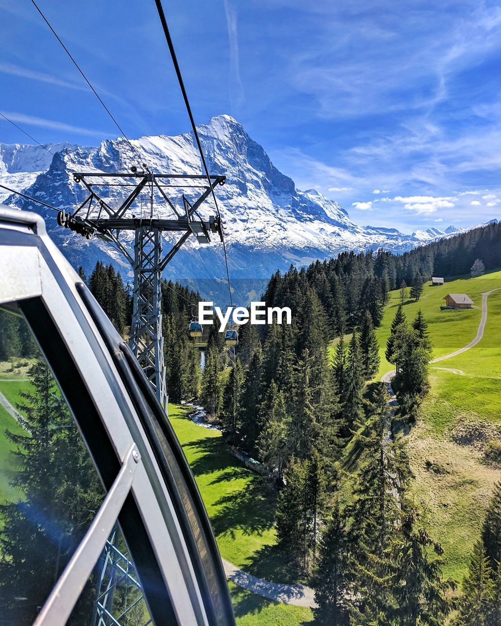 Trees by mountains against sky