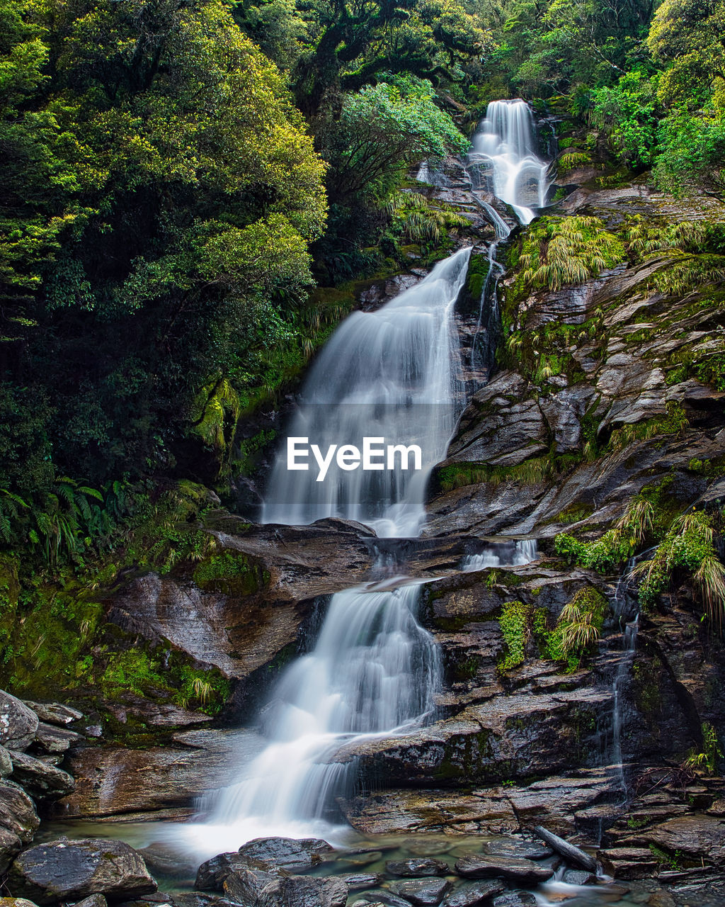 View of waterfall in forest