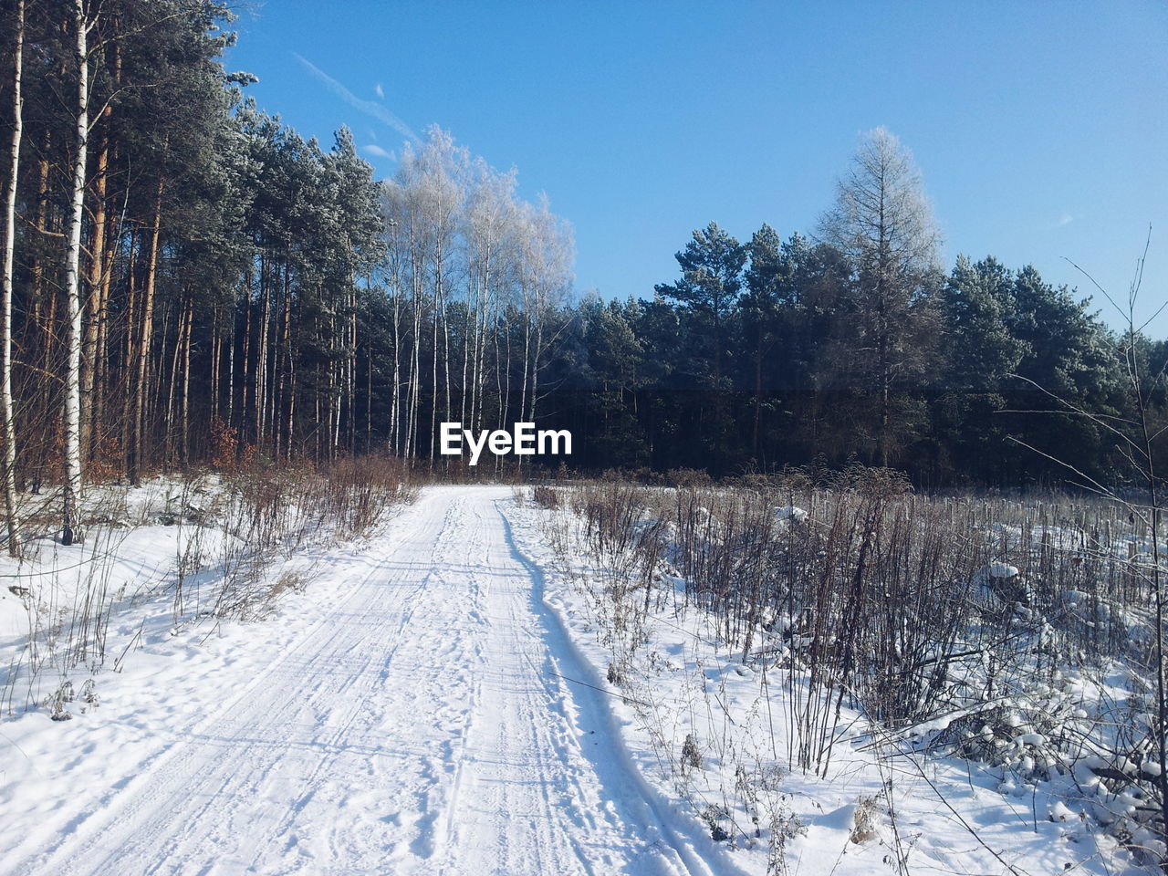 Snow covered field