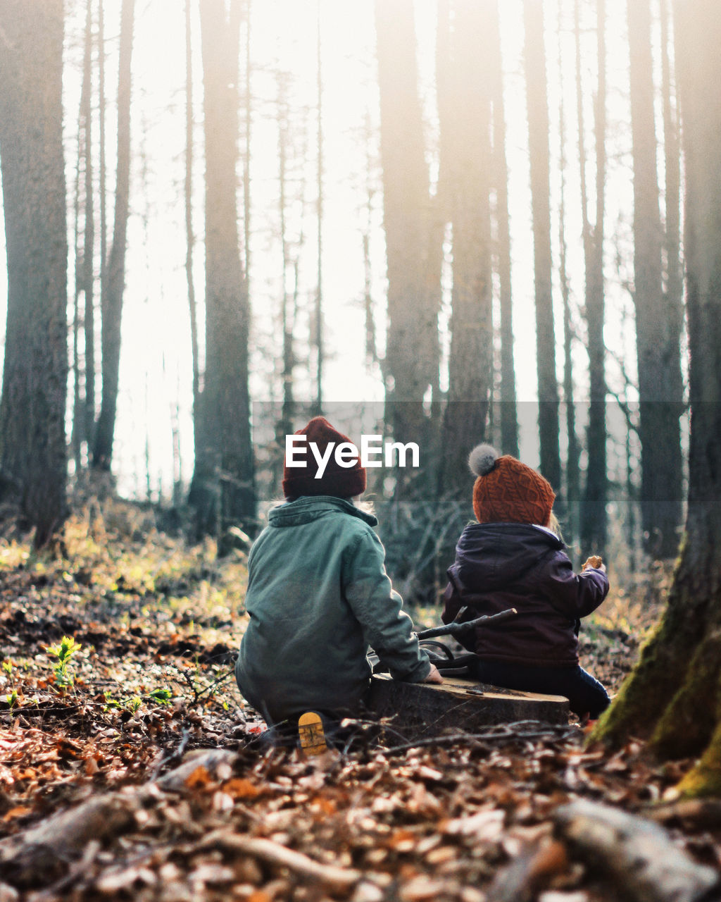 Rear view of kids sitting in forest during winter