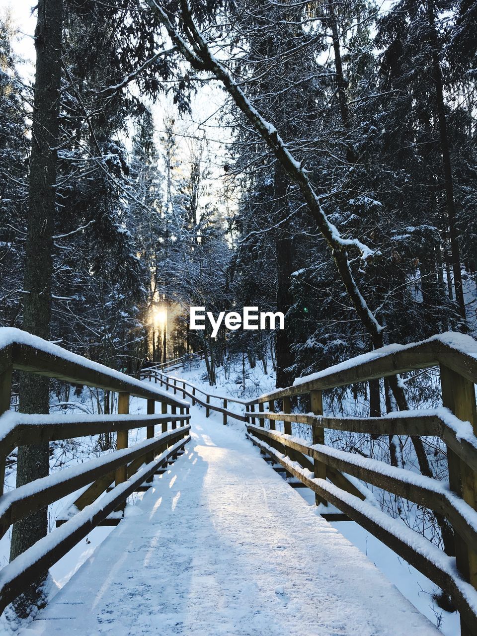 SNOW COVERED FOOTBRIDGE AMIDST TREES DURING WINTER