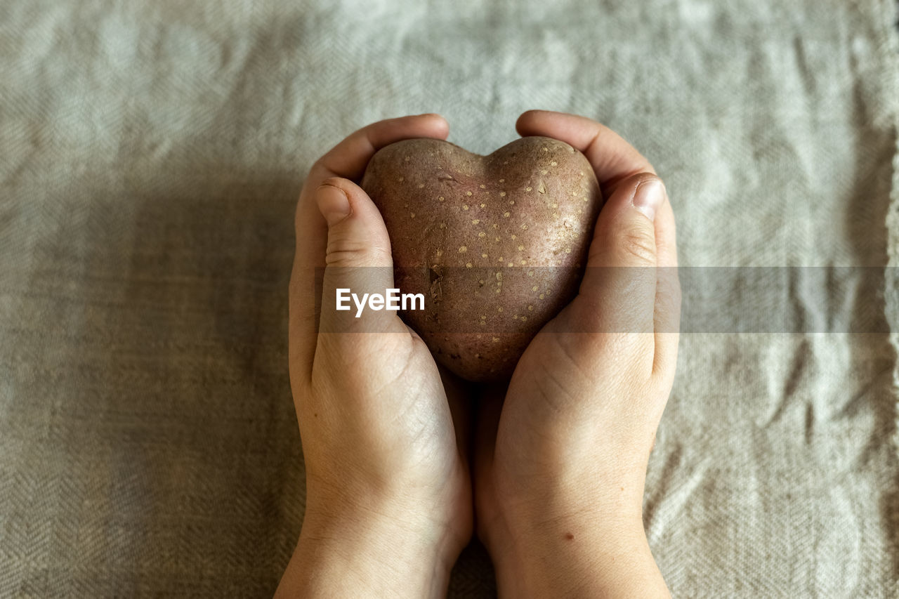 Female hands holding ugly vegetables potatoes in the shape of a heart on a background of linen cloth