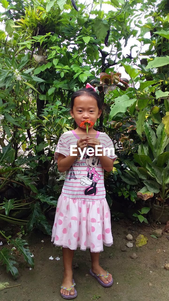 PORTRAIT OF CUTE GIRL STANDING AGAINST PINK FLOWERS