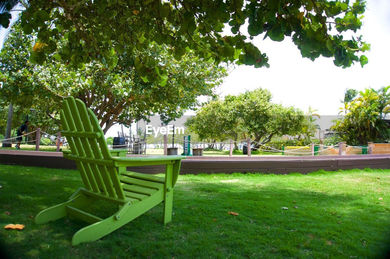 EMPTY BENCHES IN PARK