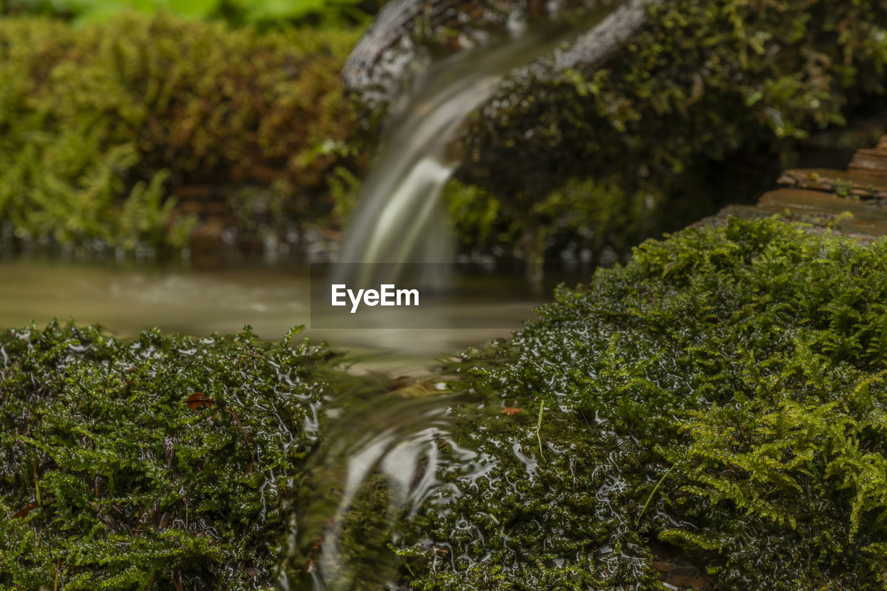 BLURRED MOTION OF WATERFALL BY RIVER