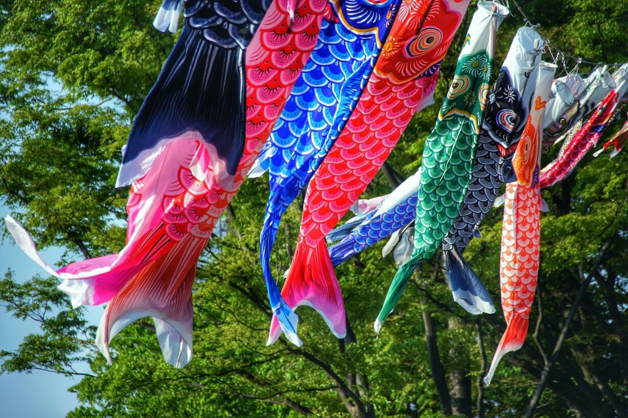 Low angle view of carp streamer koinobori