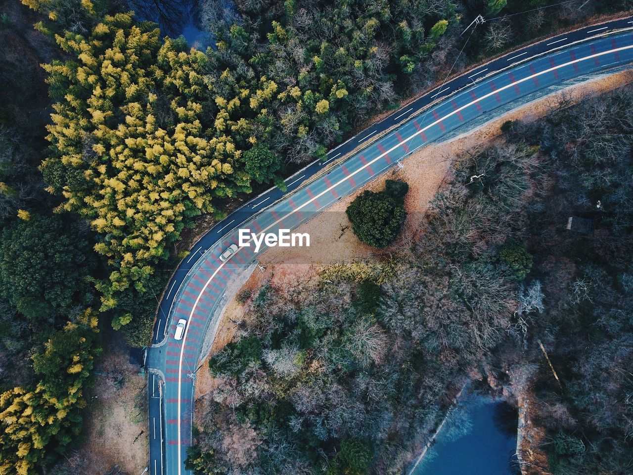 HIGH ANGLE VIEW OF ROAD AMIDST TREES