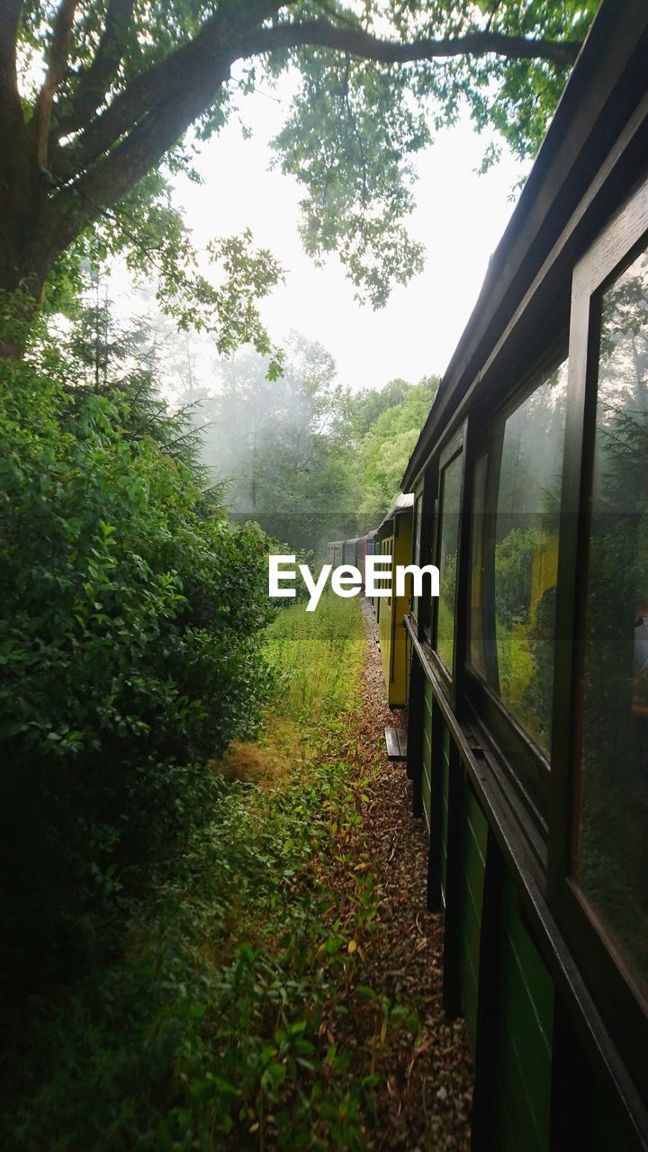 Train by trees on field