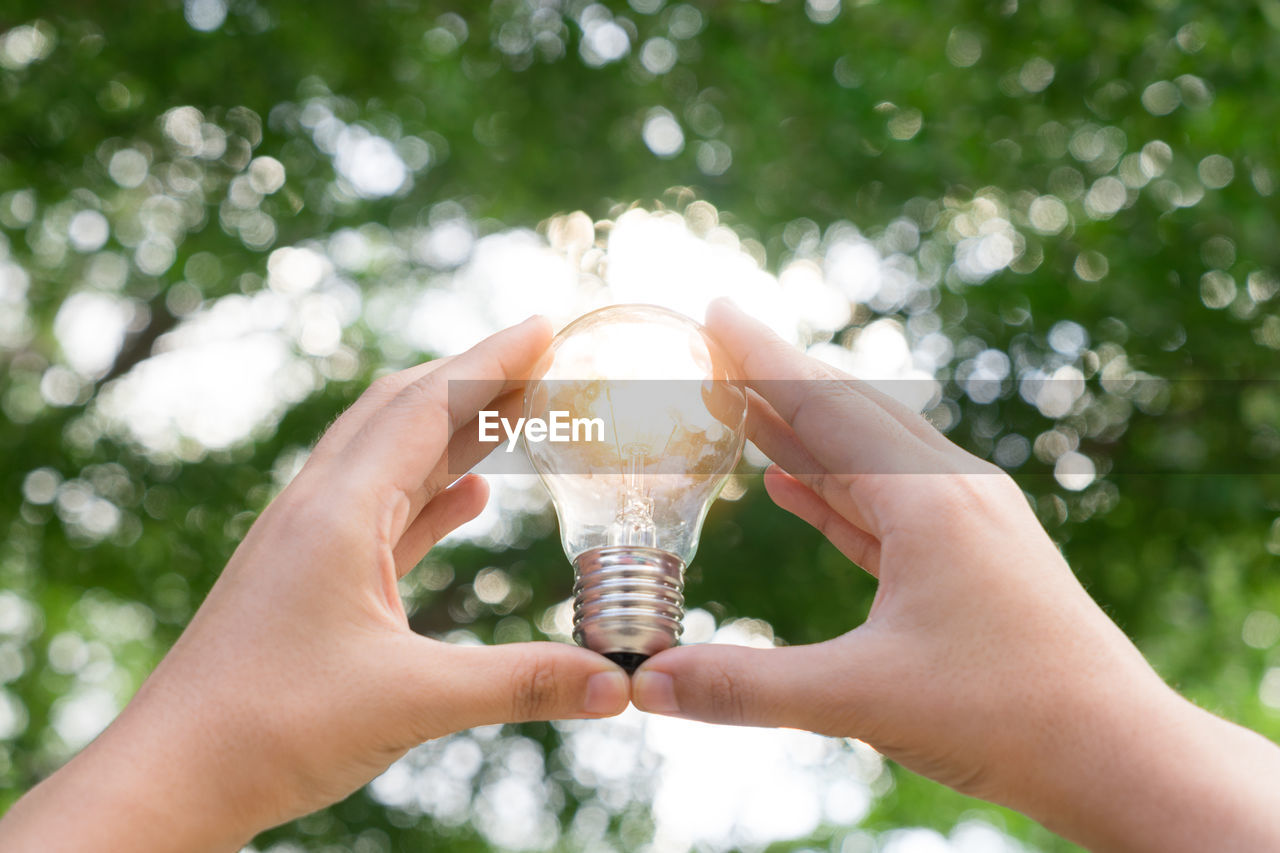 Close-up of human hands holding light bulb against trees