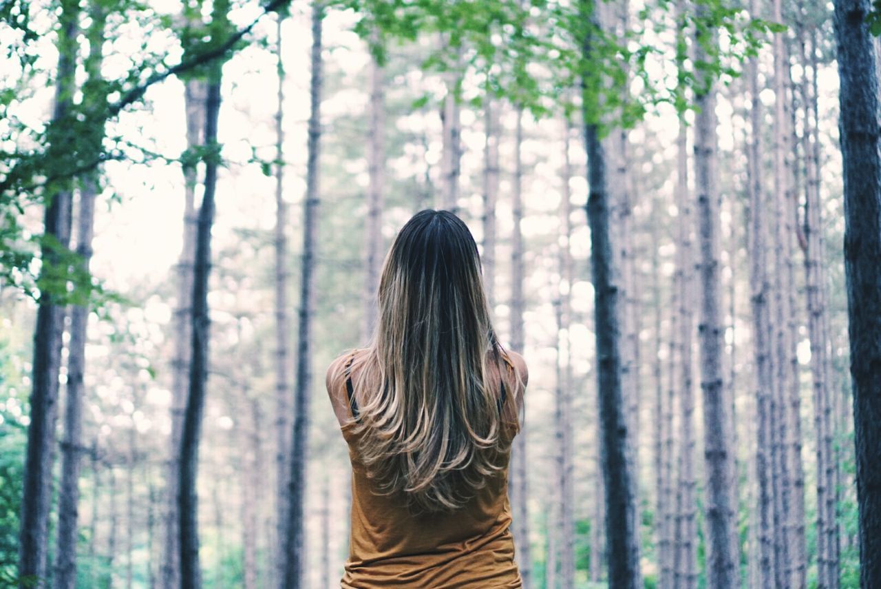 Rear view of woman standing against trees in forest