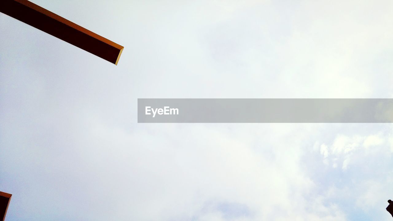 LOW ANGLE VIEW OF TREES AGAINST SKY