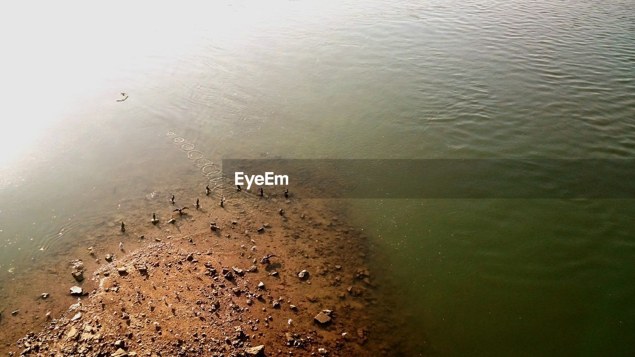 High angle view of danube river