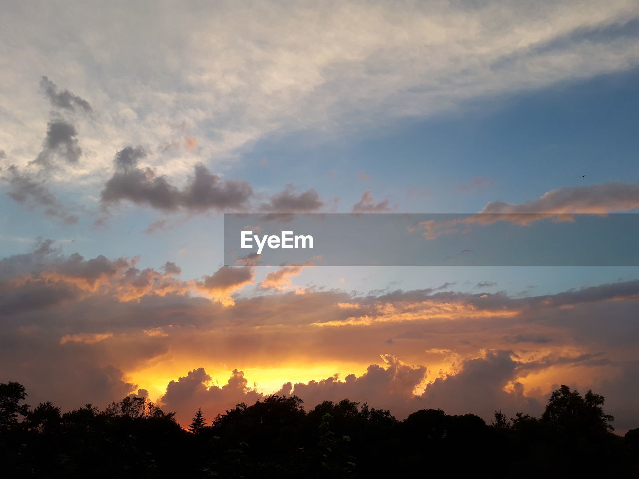 LOW ANGLE VIEW OF SILHOUETTE TREES AGAINST SUNSET SKY