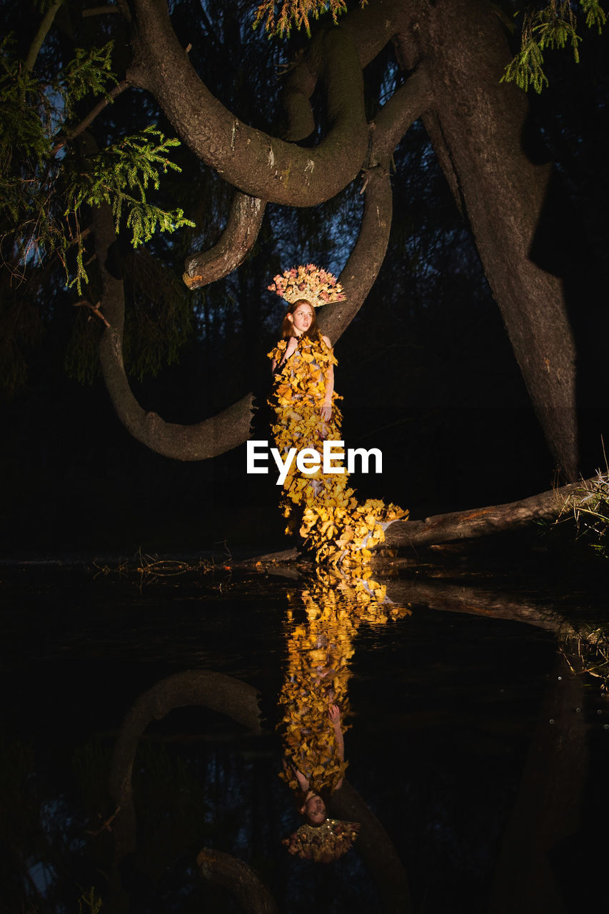 VIEW OF ILLUMINATED TREE BY LAKE