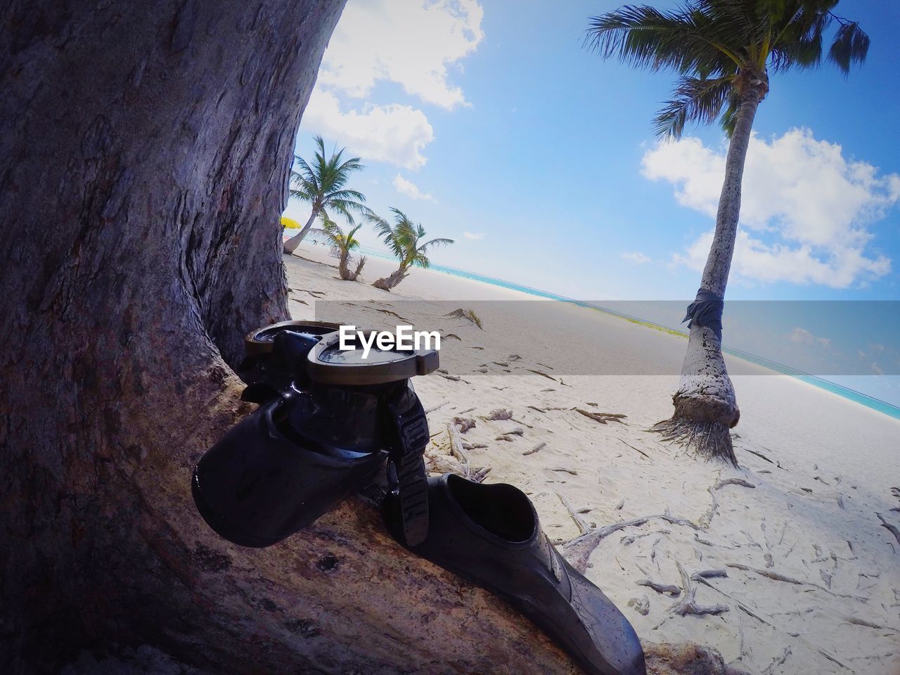 Diving flippers and swimming goggles on tree at sandy beach