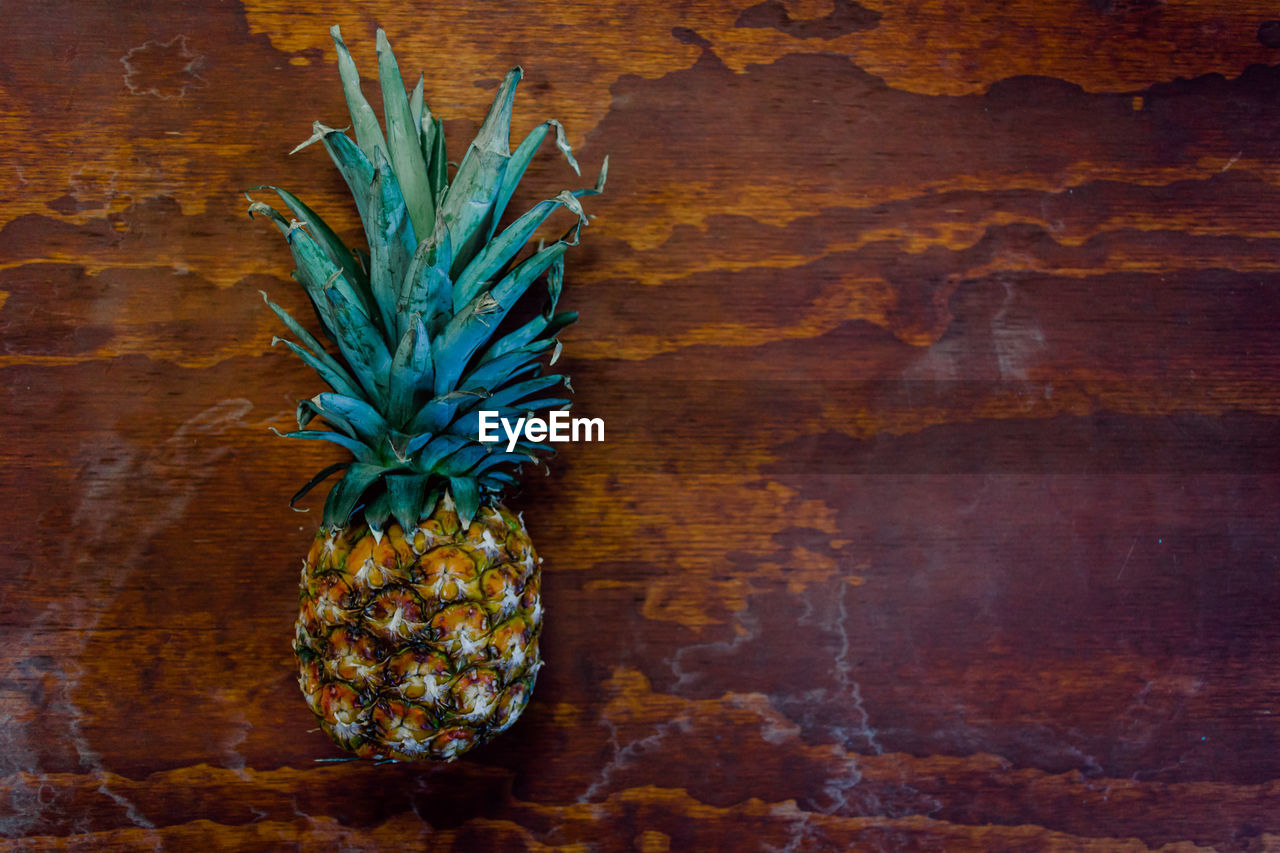 DIRECTLY ABOVE SHOT OF FRUITS GROWING ON TABLE