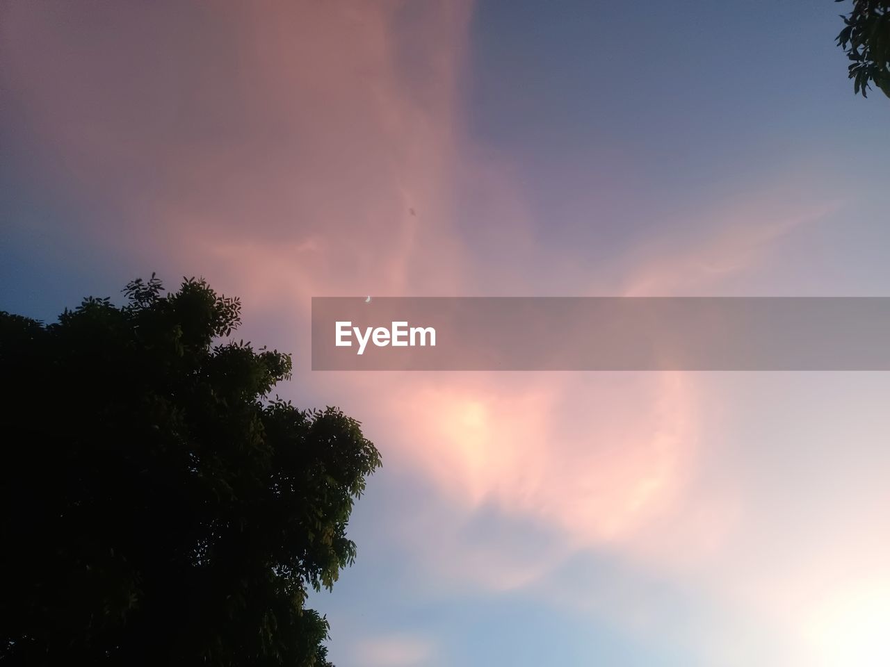 sky, cloud, tree, beauty in nature, nature, plant, sunlight, sunset, dramatic sky, silhouette, no people, low angle view, scenics - nature, environment, tranquility, outdoors, dusk, evening, storm, cloudscape, idyllic, thunderstorm, tranquil scene