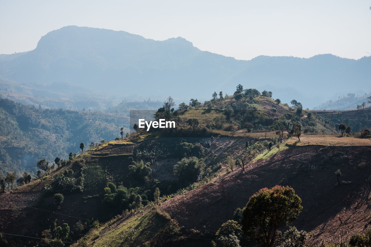 HIGH ANGLE VIEW OF TREES ON LANDSCAPE AGAINST SKY