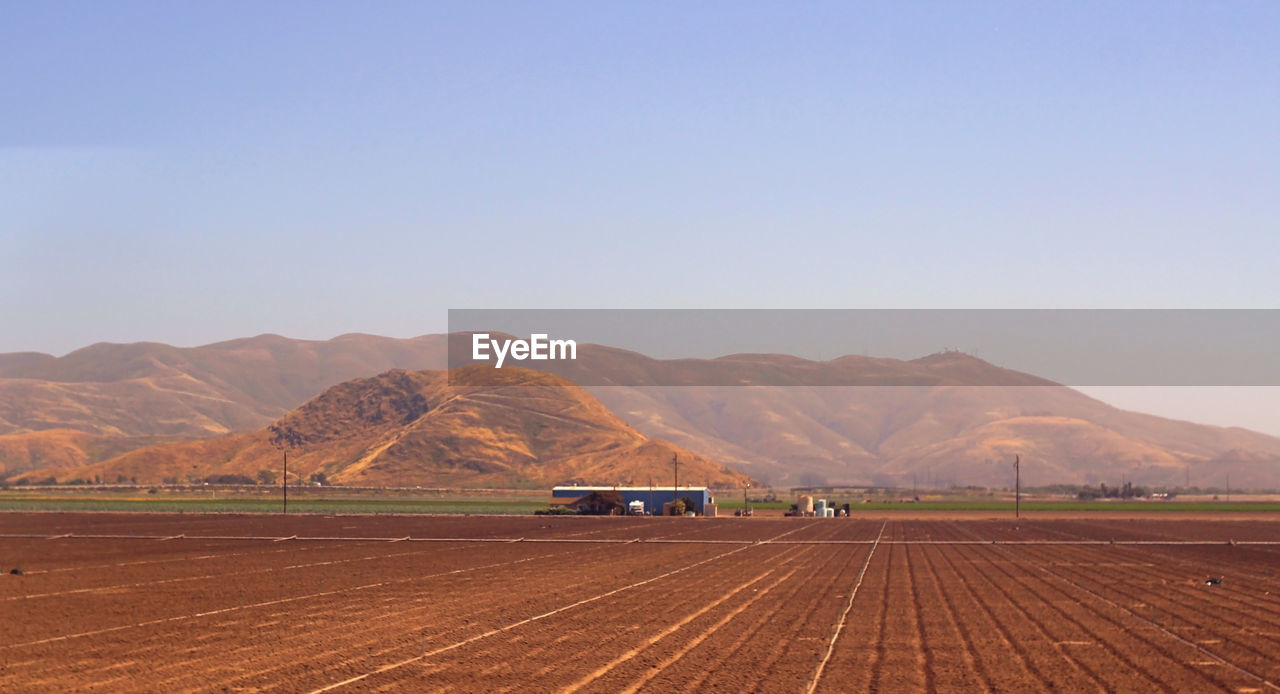 SCENIC VIEW OF AGRICULTURAL LANDSCAPE AGAINST CLEAR SKY