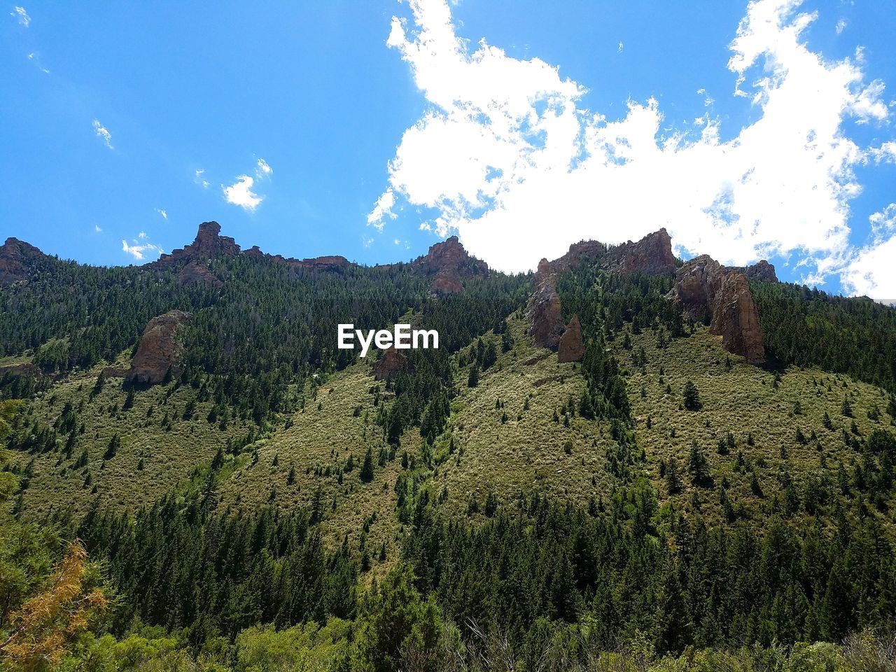 SCENIC VIEW OF LANDSCAPE AGAINST CLOUDY SKY