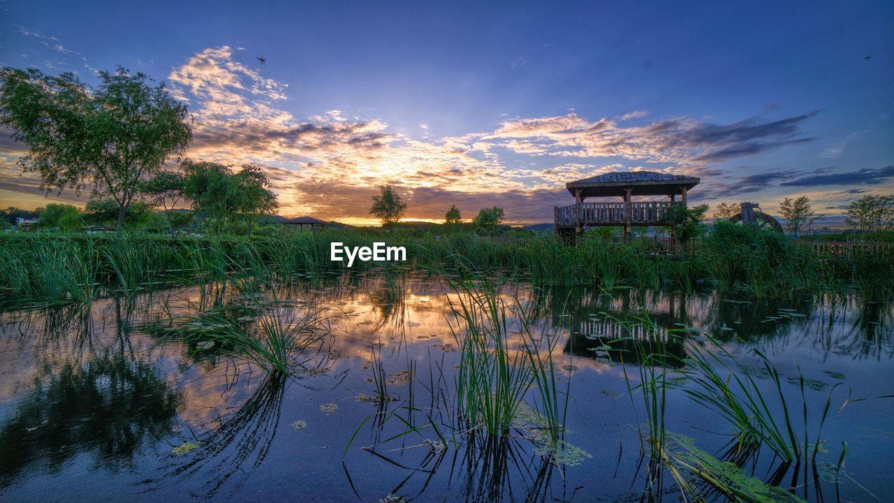 Sunset on the pond