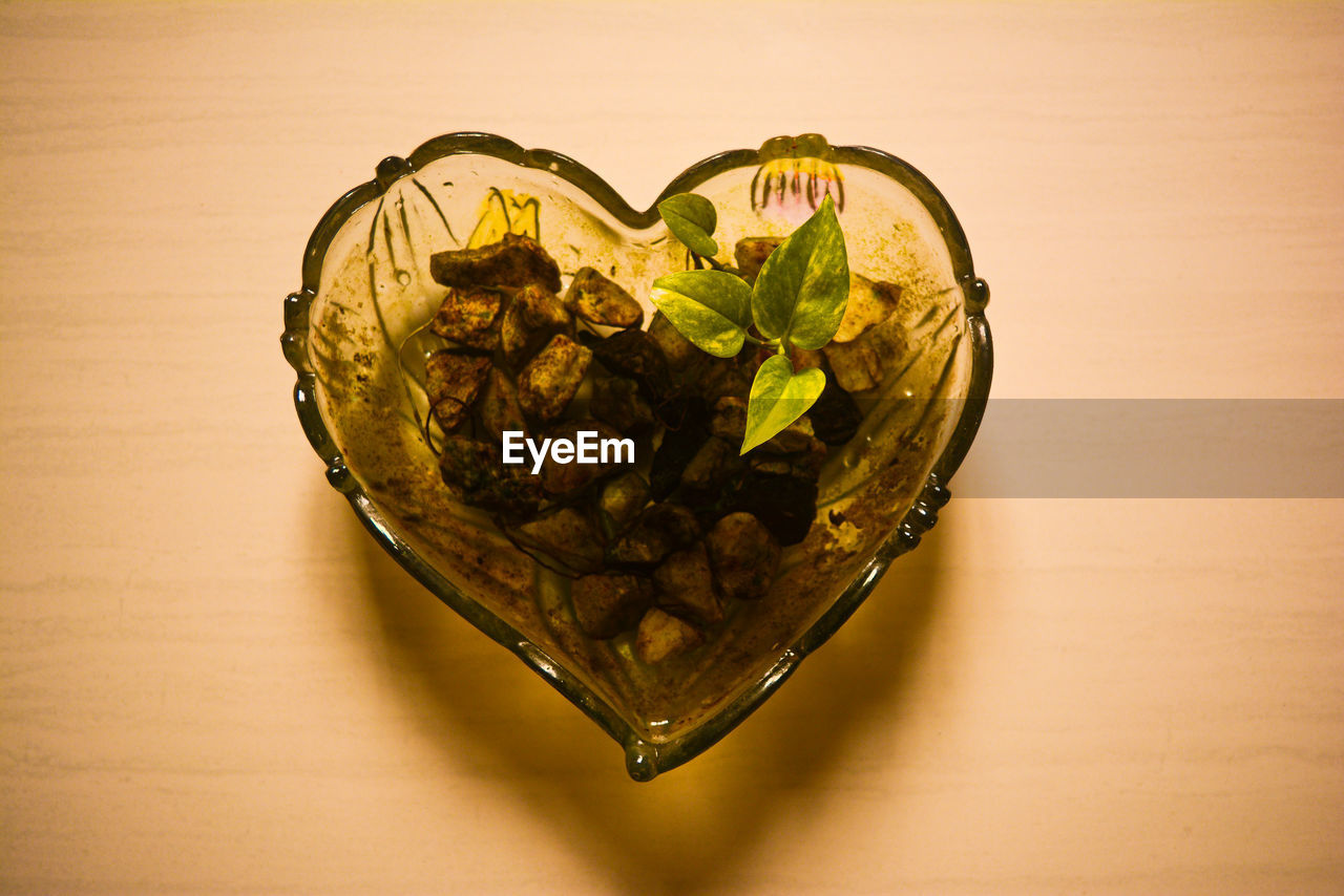 HIGH ANGLE VIEW OF HEART SHAPE MADE OF DRINK ON TABLE