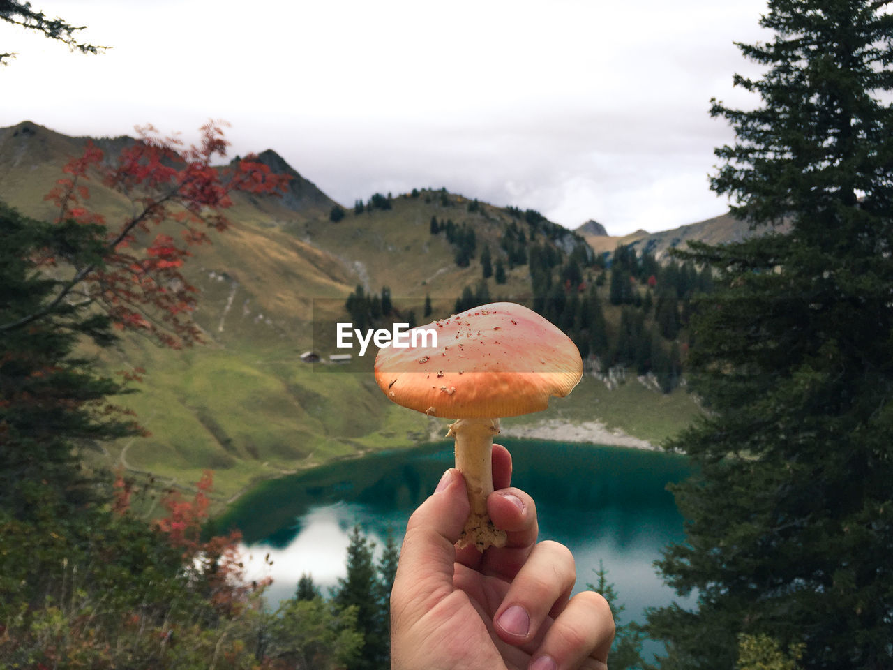 Close-up of hand holding mushroom against lake and mountains