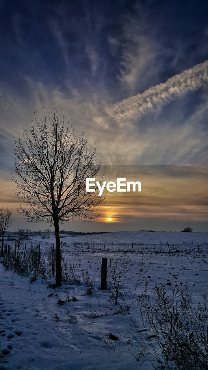 sky, winter, cold temperature, snow, cloud, morning, scenics - nature, beauty in nature, nature, tree, environment, dawn, landscape, sunrise, bare tree, plant, tranquility, tranquil scene, land, sunlight, freezing, no people, frozen, horizon, field, reflection, non-urban scene, frost, outdoors, ice, idyllic, rural scene, blue, white, sun, dramatic sky, water, silhouette