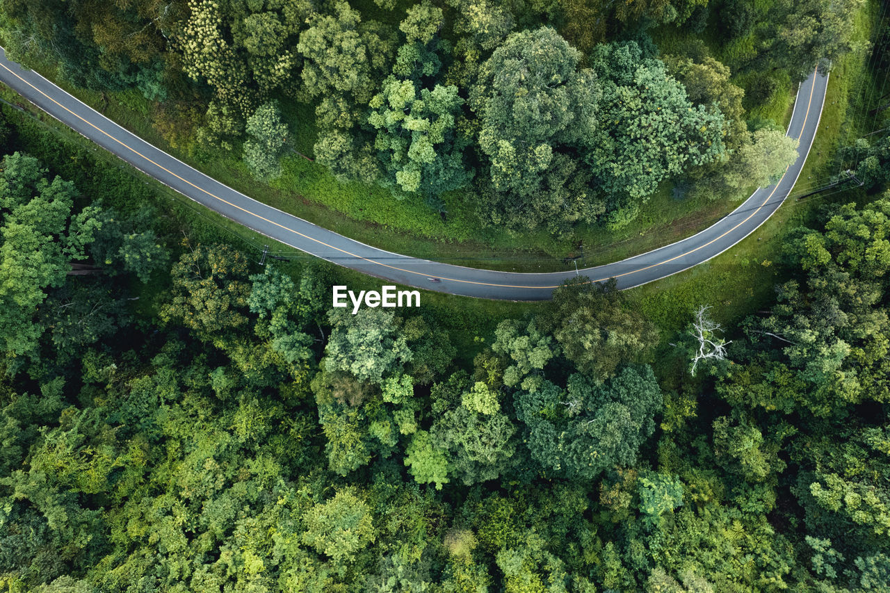 high angle view of road amidst trees in forest