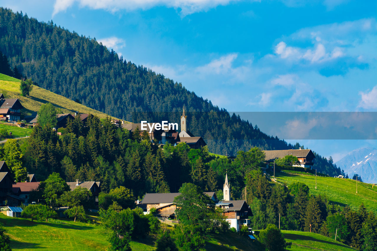 Panoramic shot of trees on landscape against sky