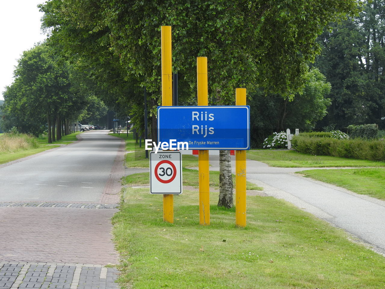 Road sign against trees