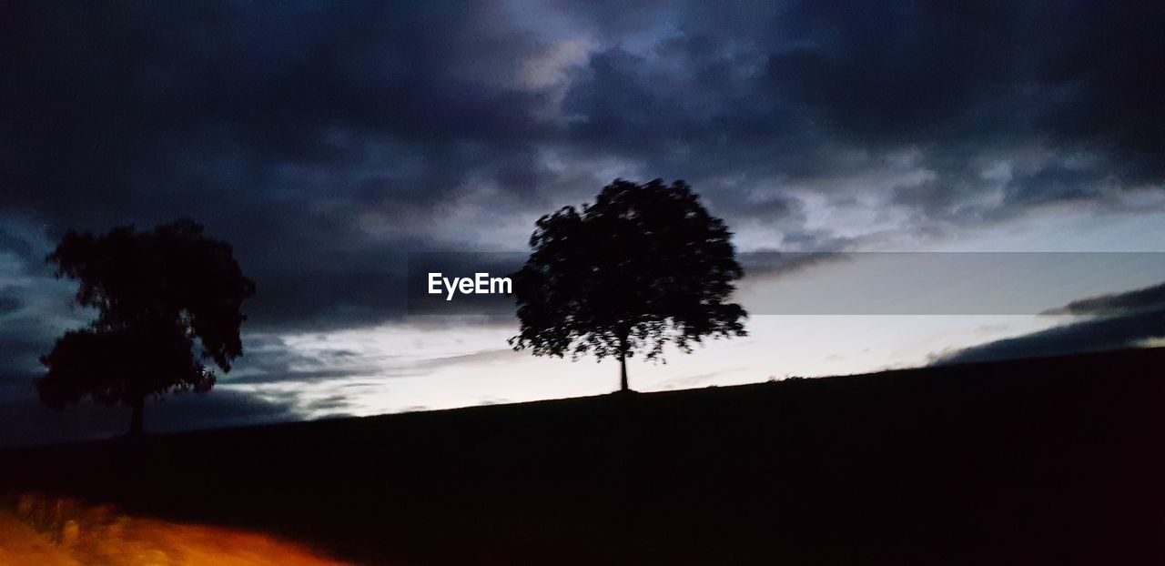 LOW ANGLE VIEW OF SILHOUETTE TREE ON FIELD AGAINST SKY