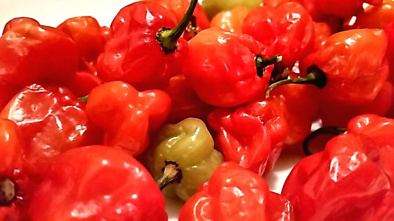 FULL FRAME SHOT OF TOMATOES ON TABLE