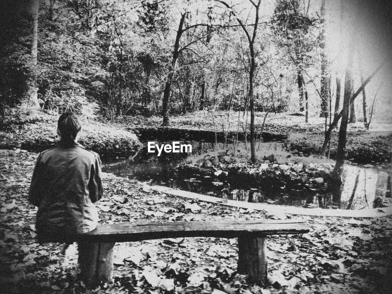 Rear view of woman sitting on bench in forest