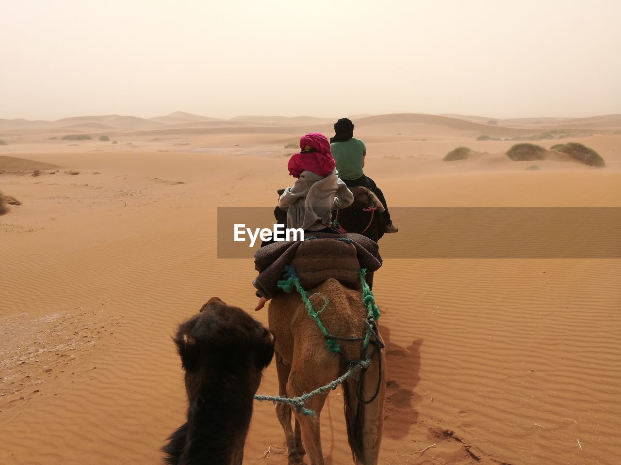 Rear view of people riding in desert