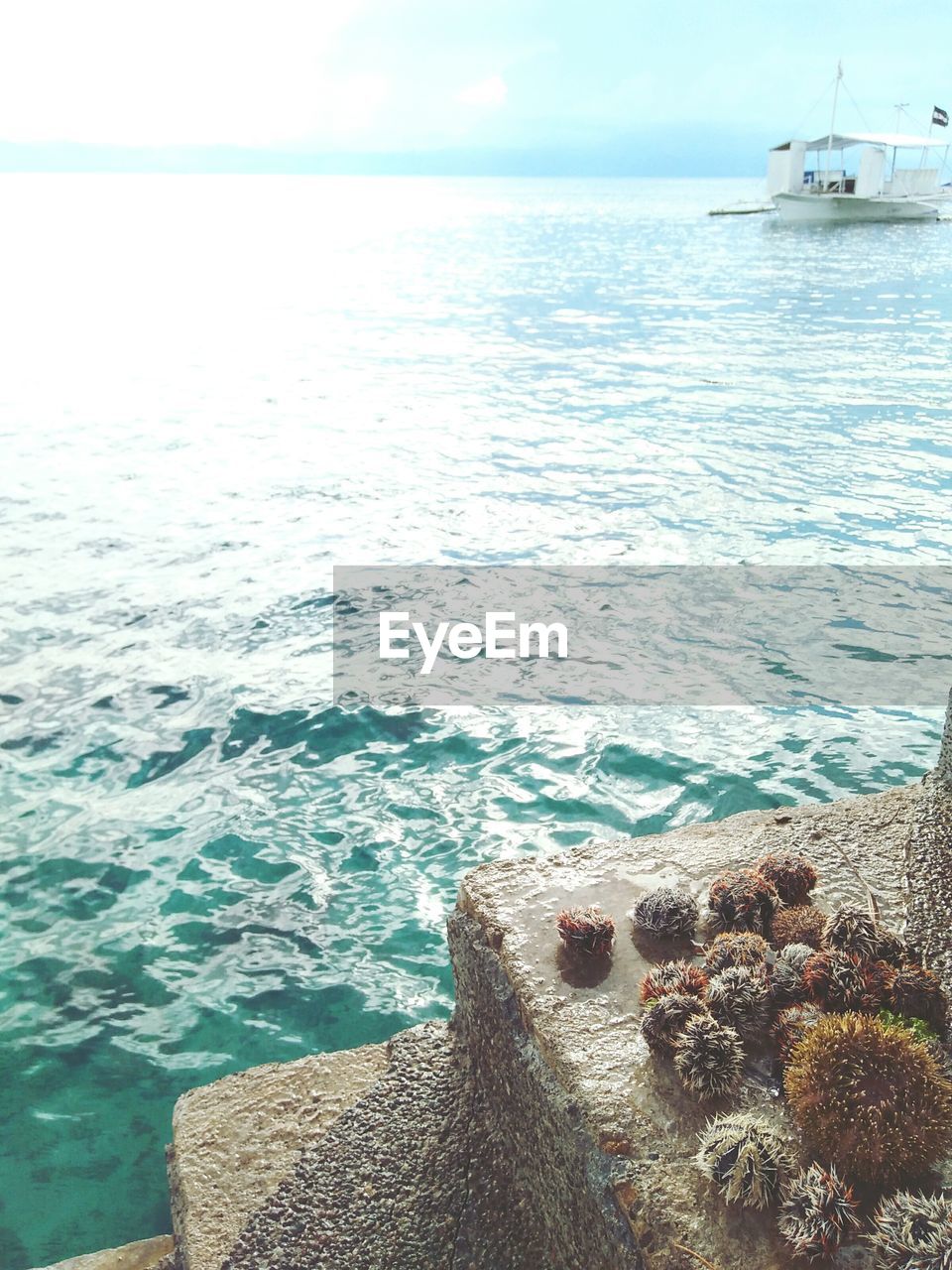 VIEW OF BOATS IN WATER