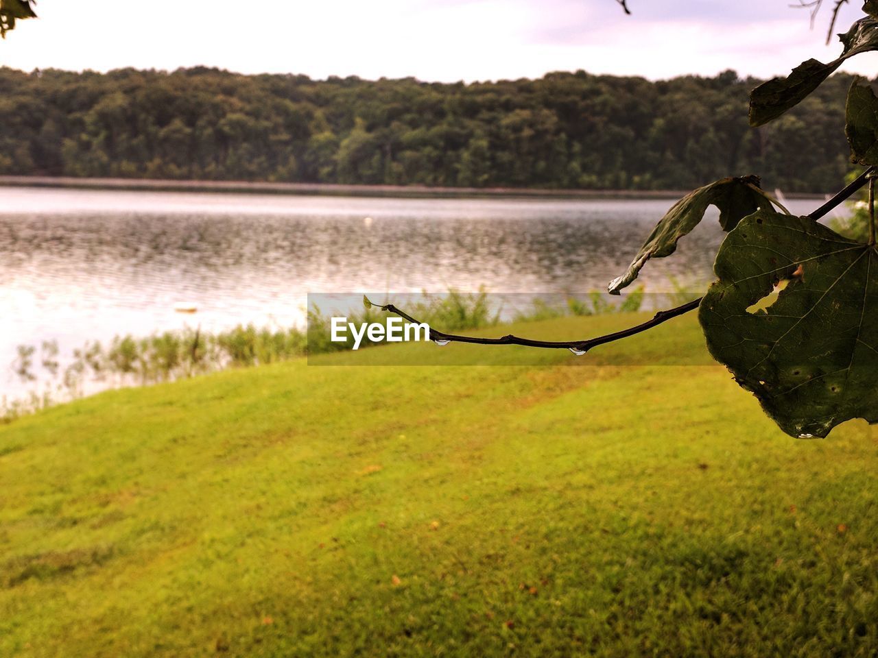 SCENIC VIEW OF LAKE