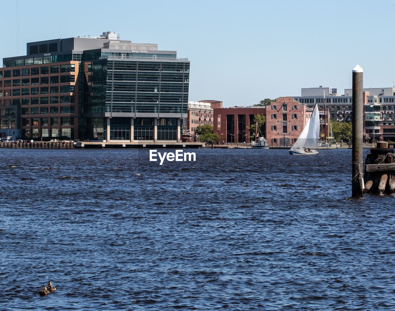 BUILDINGS IN DISTANCE WITH WATERFRONT