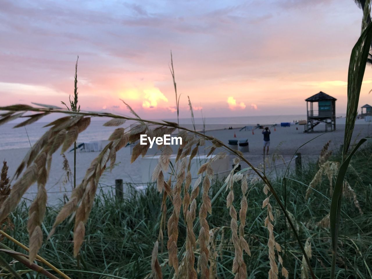 SCENIC VIEW OF BEACH DURING SUNSET